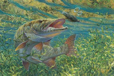 400x267 Muskie Art Wild Wings - Musky Painting