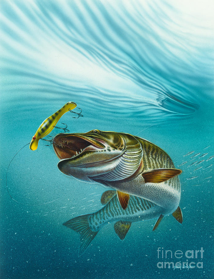 690x900 Muskie Troll Painting By Jq Licensing - Musky Painting