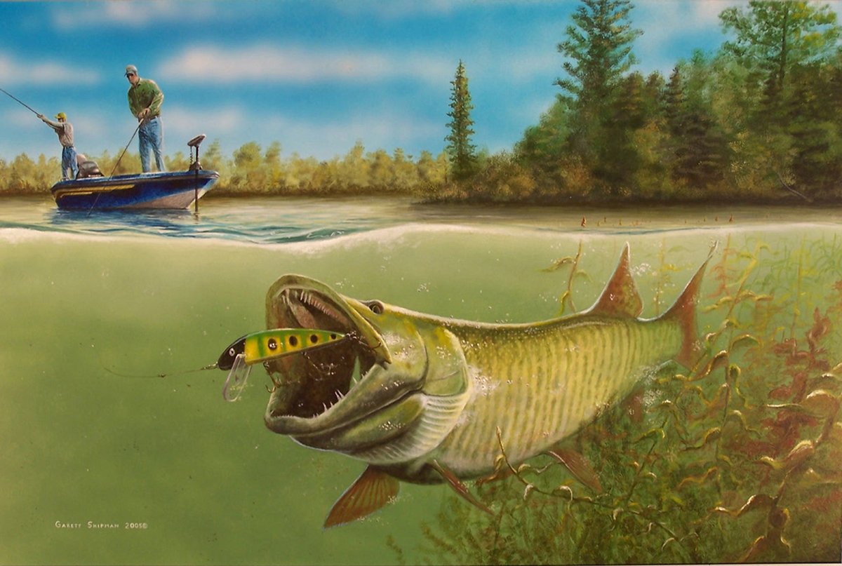 1200x807 Musky Shop On Twitter Great Artwork By Garett Shipman! - Musky Painting