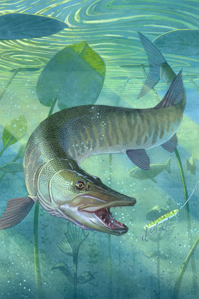 648x972 Musky Recent Commission King Of The Currumpaw - Musky Painting