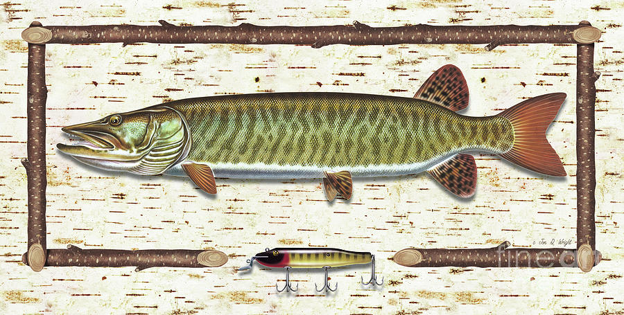 900x455 Birch Musky Painting By Jq Licensing - Musky Painting