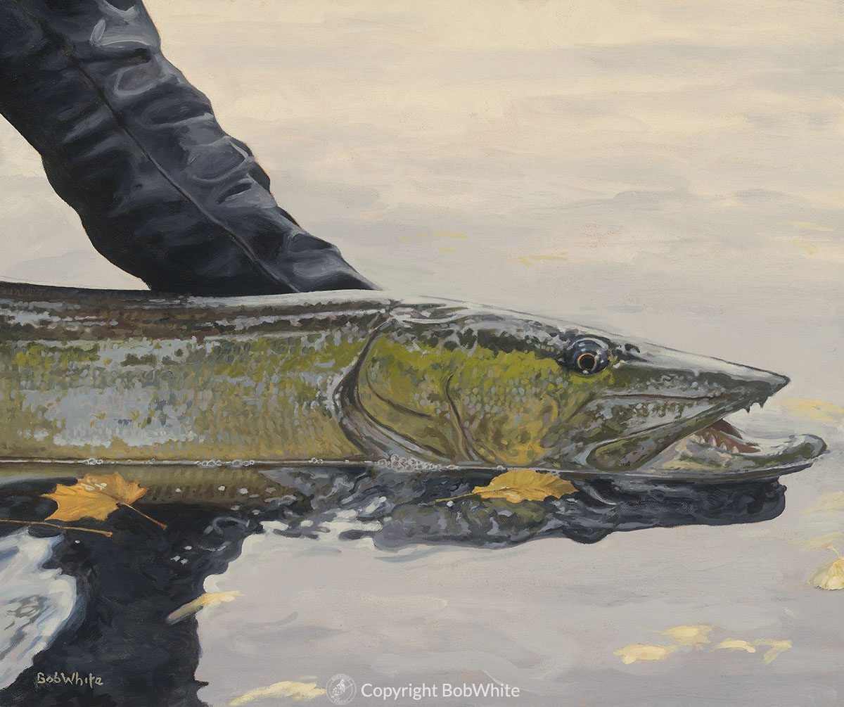 1200x1005 One Last Look - Musky Painting
