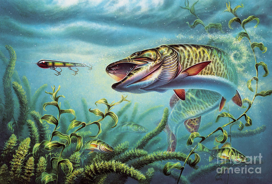 900x609 Provoked Musky Painting By Jq Licensing - Musky Painting