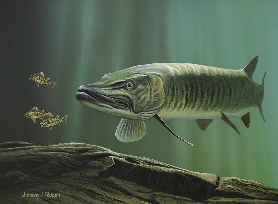 900x660 The Hunter - Musky Painting