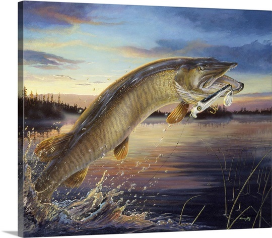 540x472 Topwater Muskies - Musky Painting