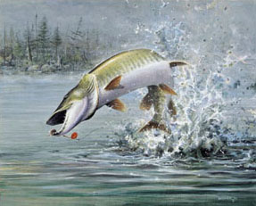 287x231 Wildlife Art Prints Plus Original Paintings With A Wide Selection - Musky Painting