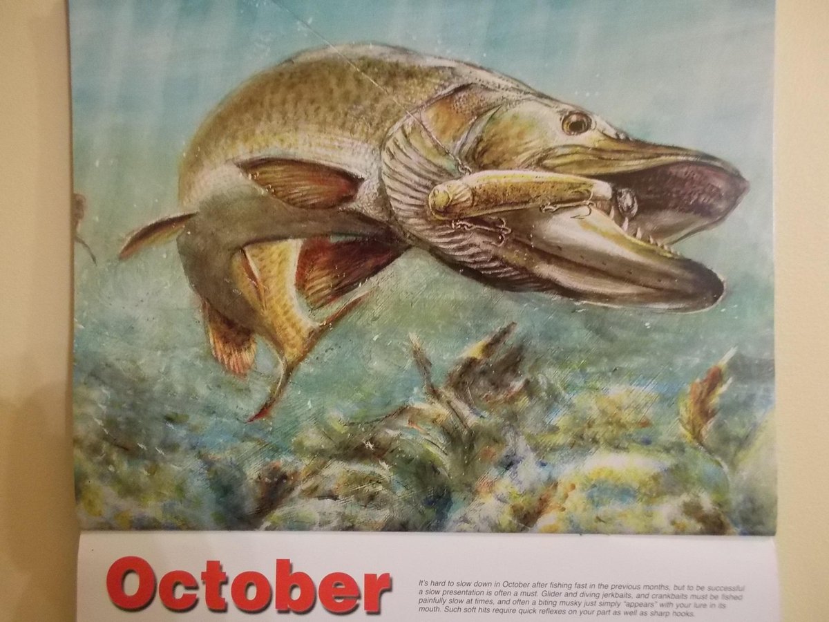 1200x900 Charles Weiss On Twitter Welcome To October. Featuring My Muskie - Musky Painting