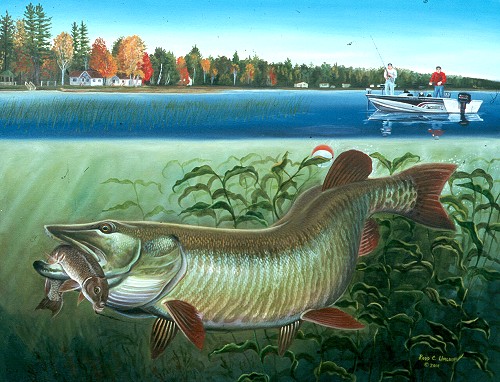 500x382 Custom Portraits - Musky Painting