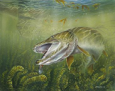 366x291 Muskellunge Muskellunge - Musky Painting