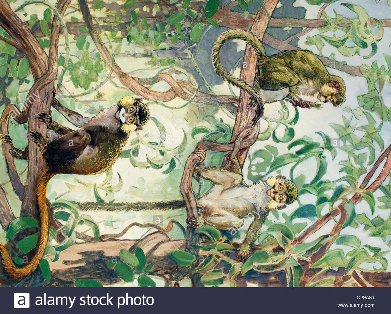 1300x1044 Painting Of Mustache And Talapoin Guenon Monkeys In Treetops Stock - Mustache Painting