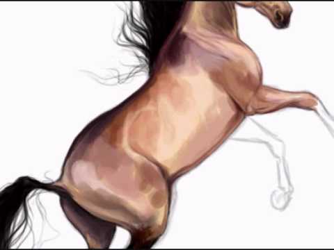 480x360 Speed Painting Mustang - Mustang Horse Painting