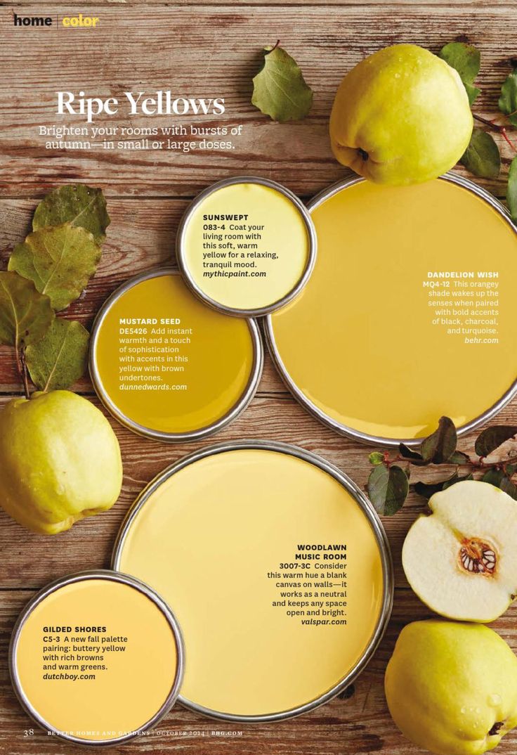 736x1074 How To Make Mustard Color Paint My Web Value - Mustard Yellow Painting