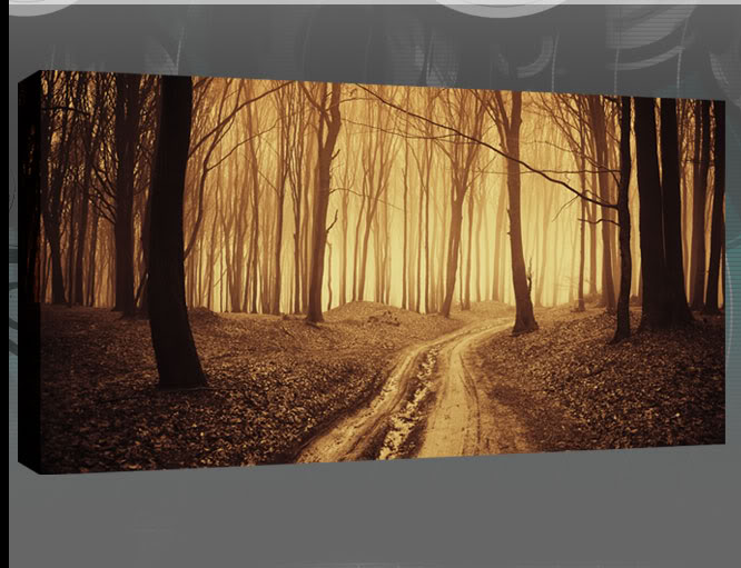 666x511 Wall Art Top Ten Gallery Of Forest Wall Art Rustic Canvas Wall - Mystical Forest Painting