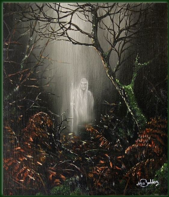 562x654 Copyrightnbulder Ghost Nico Bulder Wildlife Painter - Mystical Forest Painting