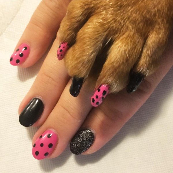 600x600 Nail Painting Fur Ever Loved Pet Salon - Nail Painting