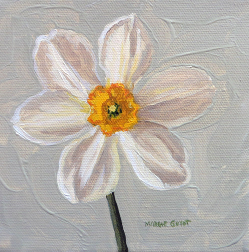 498x504 Narcissus - Narcissus Flower Painting