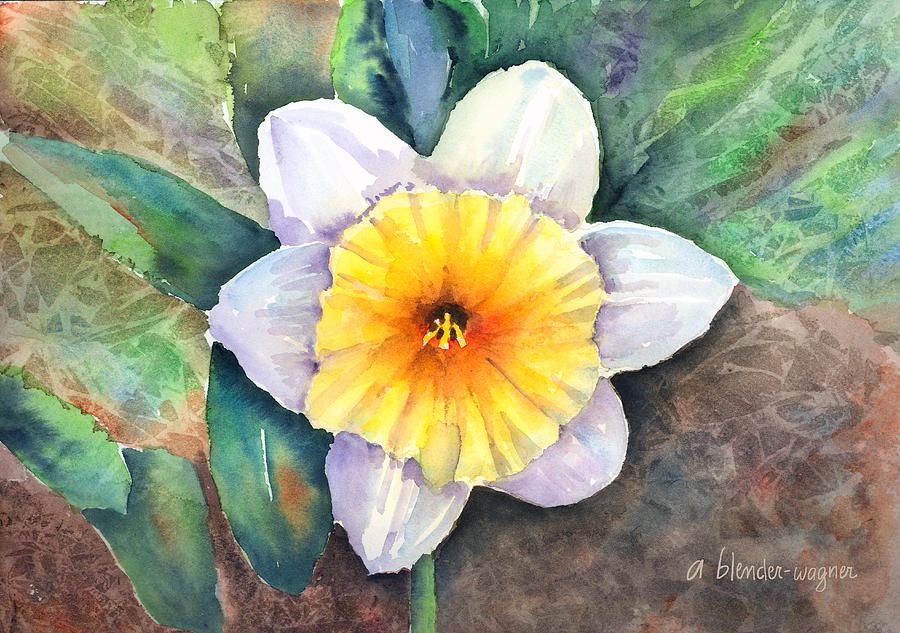 900x633 Narcissus Painting Thema Lente Tatting - Narcissus Flower Painting