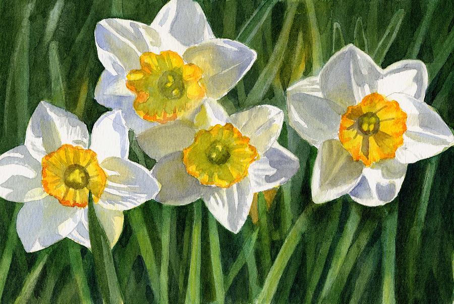 900x602 Four Small Daffodils Painting By Sharon Freeman - Narcissus Flower Painting