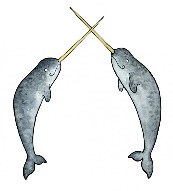 590x650 Narwhal Watercolor For Product Packaging And Website - Narwhal Painting