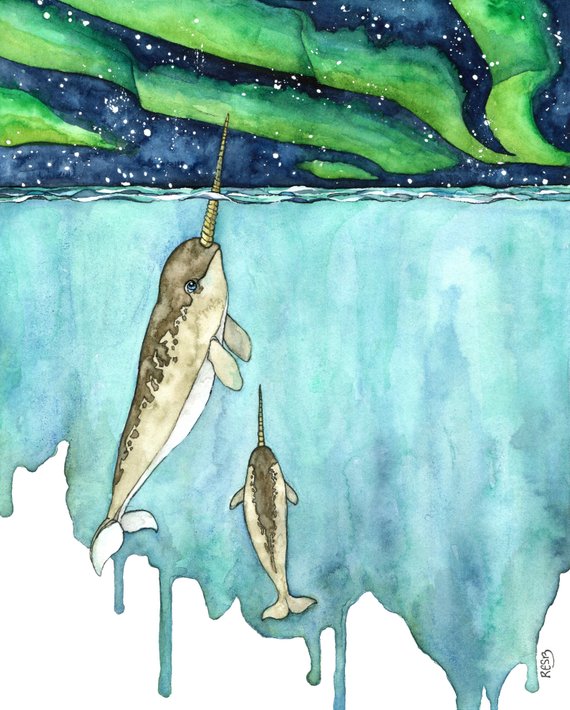 570x710 Watercolor Painting Narwhal Painting Narwhal Narwhal Art - Narwhal Painting