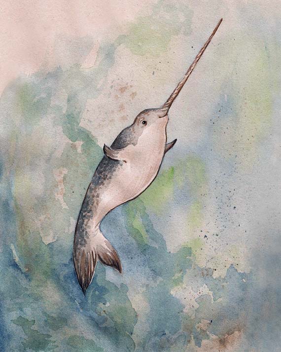 570x713 Georgia Dunn Studio My Narwhal Painting, Complete With A Dark - Narwhal Painting