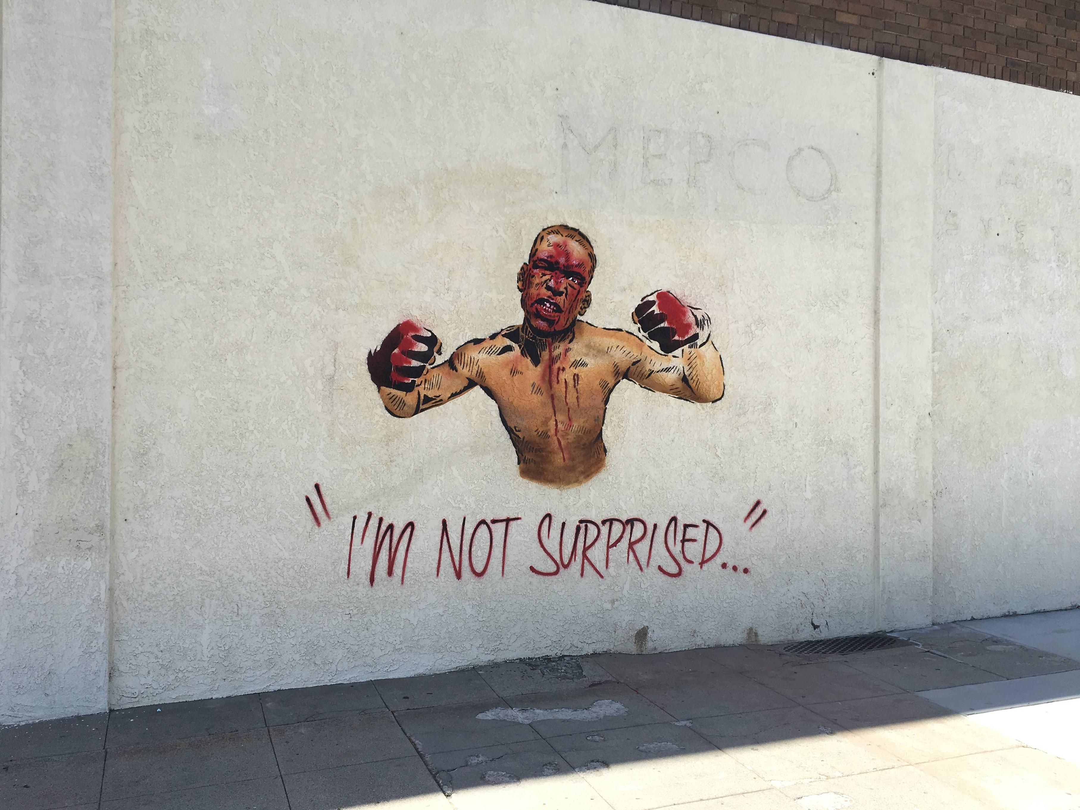 3629x2722 Nate Diaz Street Art In Stockton, Ca Mma - Nate Diaz Painting
