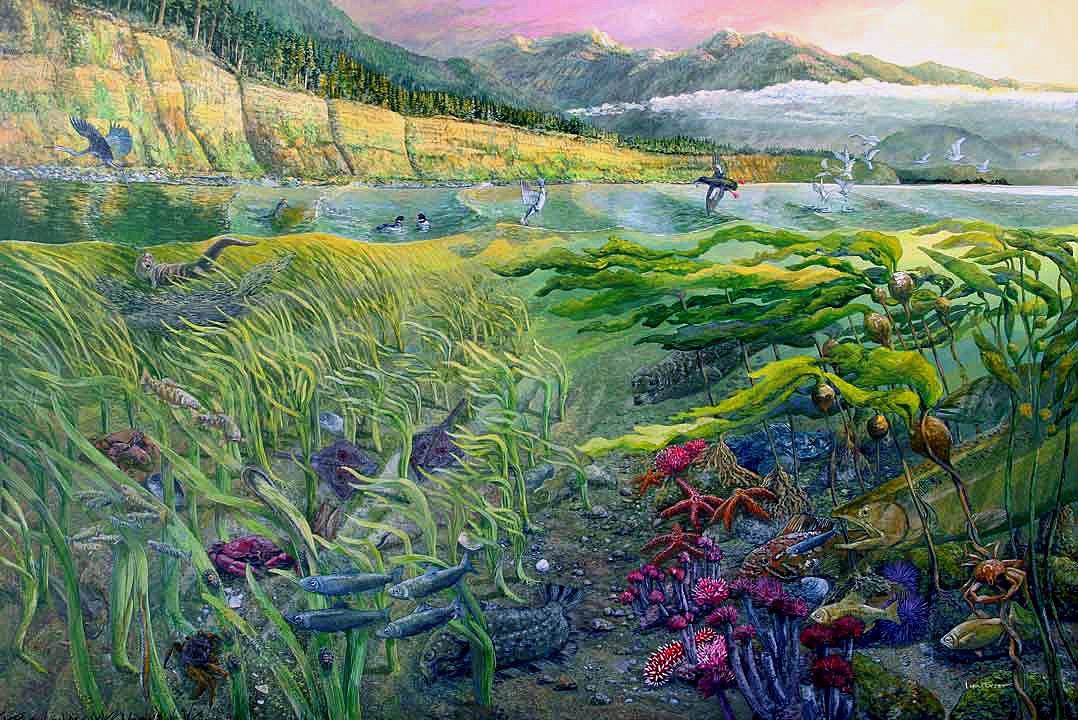 1078x720 National Park Service Murals The Art Of Larry Eifert - National Park Painting