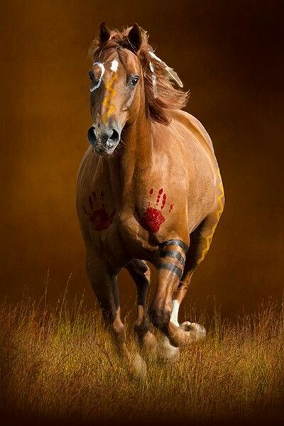 400x600 Indian Horse. It's Got War Paint Horses Indian - Native American Horse Painting