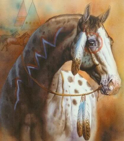 420x480 Native American Horses By David Quammen. National Geographic - Native American Horse Painting