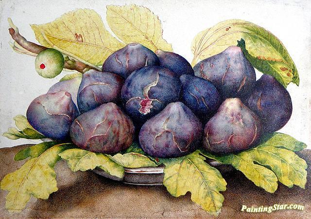 640x452 Nature Morte Au Figues Artwork By Giovanna Garzonni Oil Painting - Nature Morte Painting