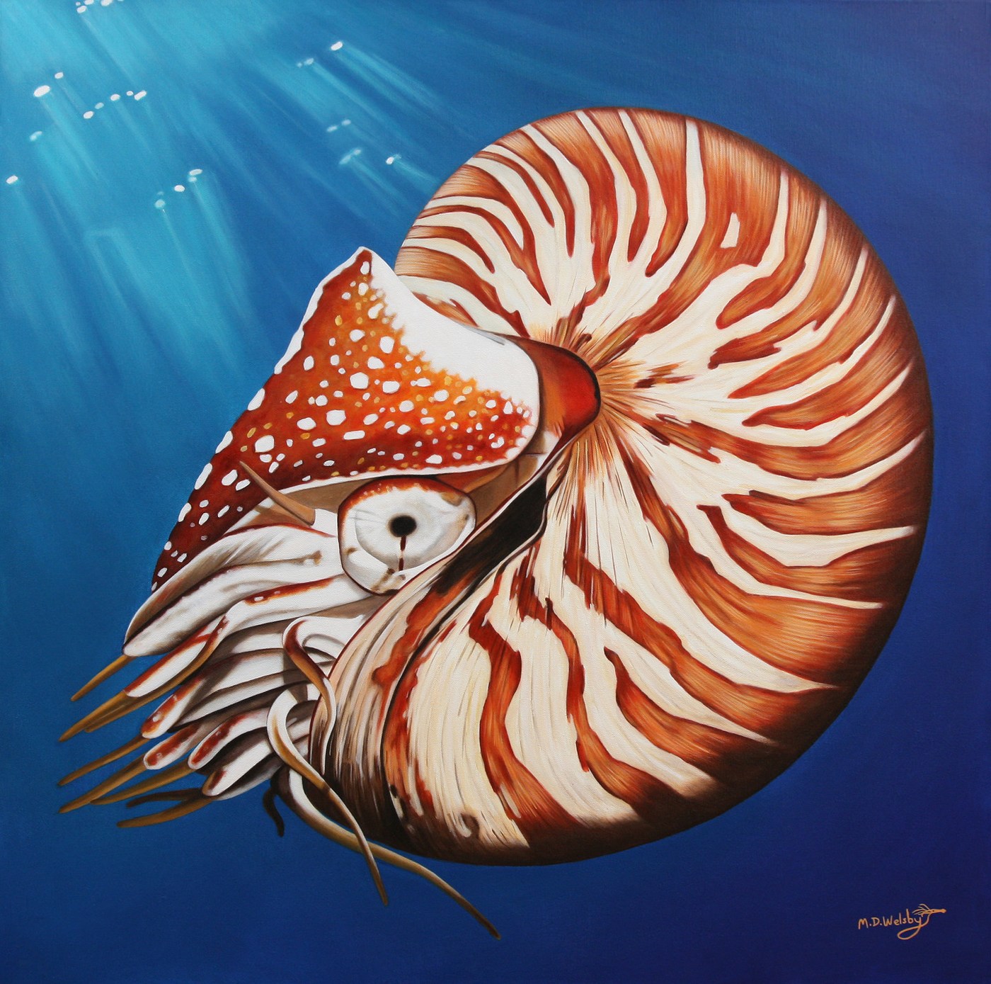 1400x1389 Nautilus Art Logic - Nautilus Painting