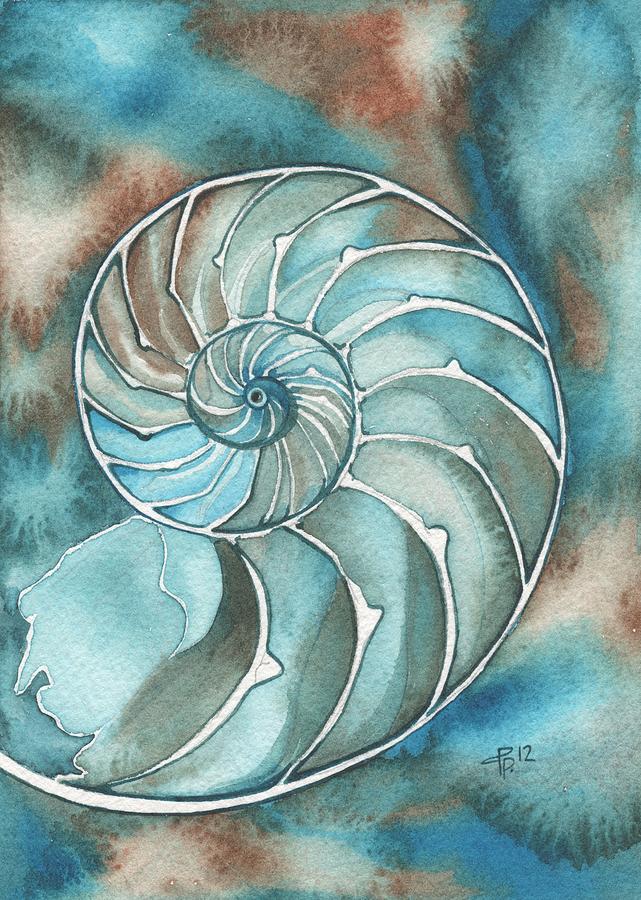 641x900 Nautilus Painting By Tamara Phillips - Nautilus Painting