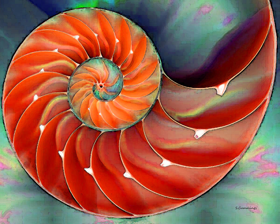 900x721 Nautilus Shell Art - Nautilus Painting
