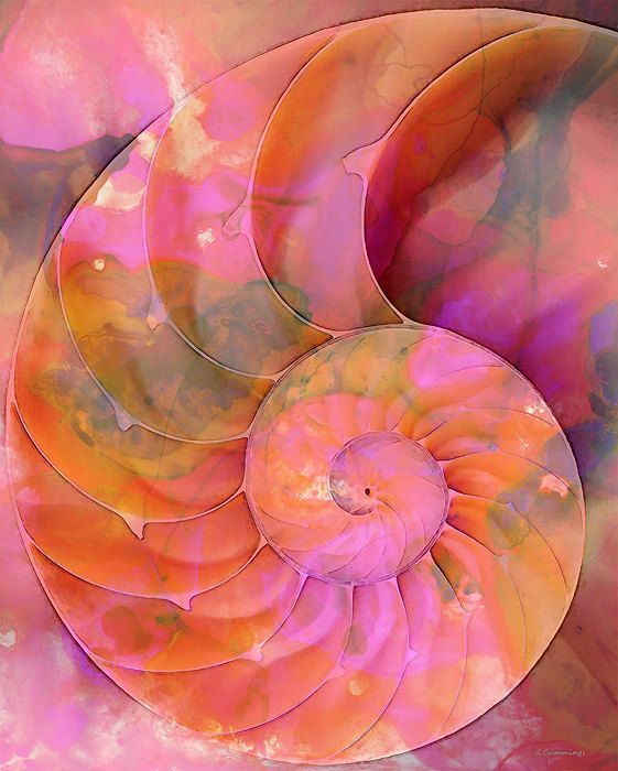 561x700 Nautilus Shell Art Print From Painting Colorful Pink Beach Ocean - Nautilus Painting