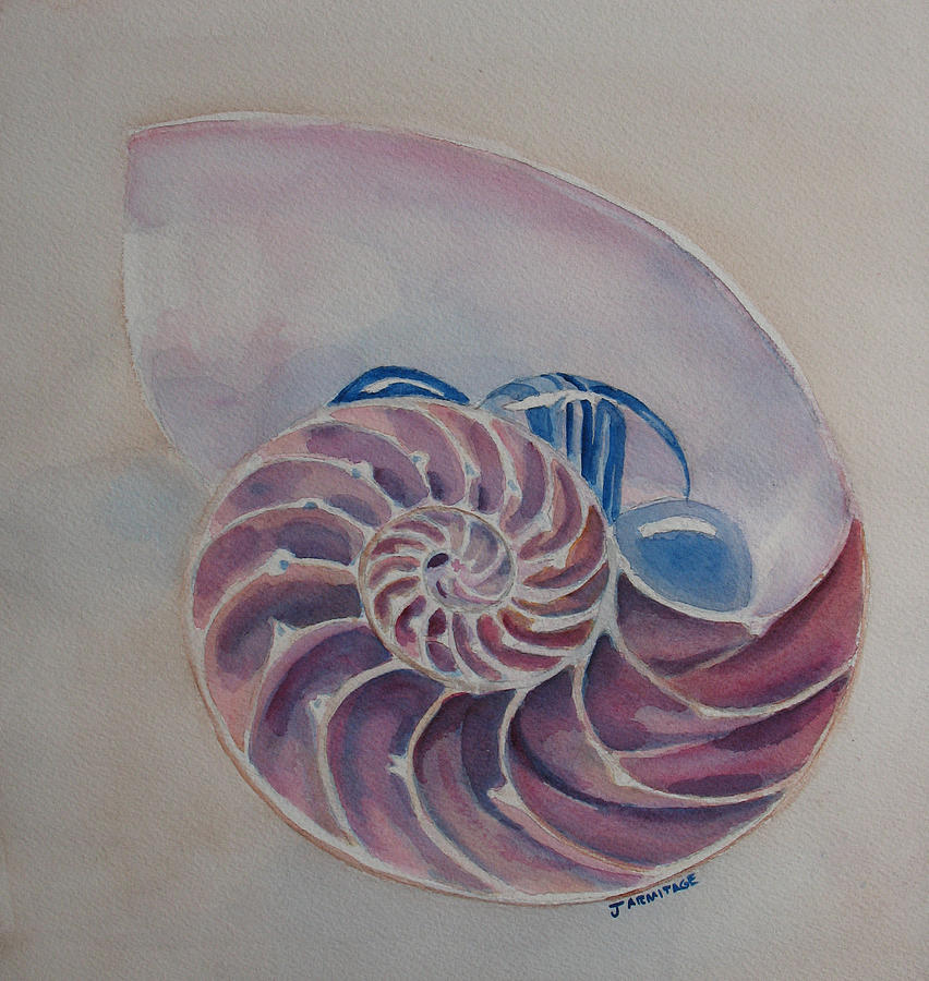 852x900 Nautilus With Glass Stones Painting By Jenny Armitage - Nautilus Painting