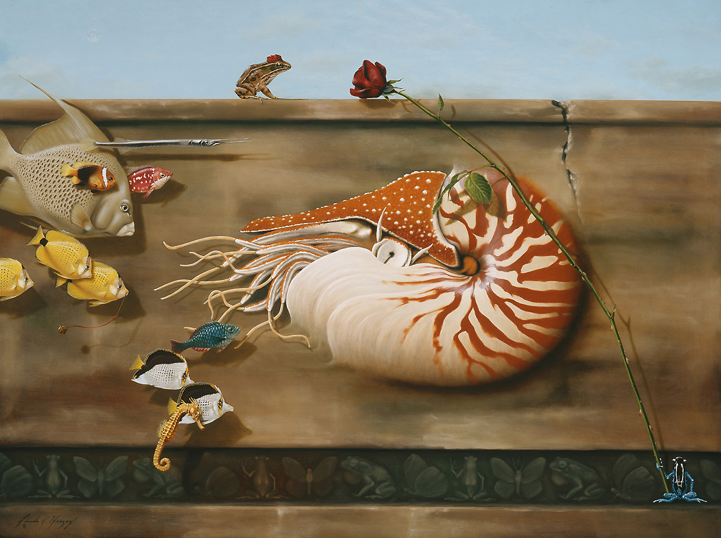 1050x784 Nautilus By Lindarherzog - Nautilus Painting