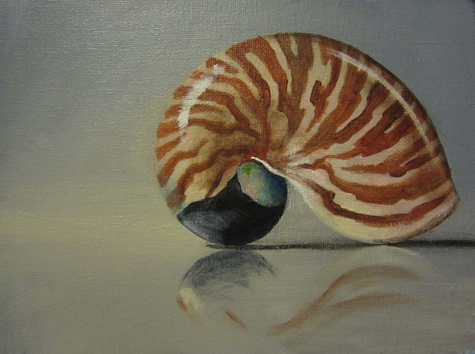 1600x1193 One Painting A Day Nautilus Shell - Nautilus Painting