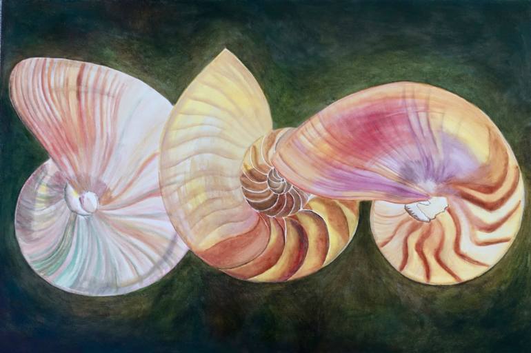 770x512 Saatchi Art Three Nautilus Shells Painting By Julie Martin - Nautilus Painting