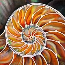 Nautilus Painting at PaintingValley.com | Explore collection of ...