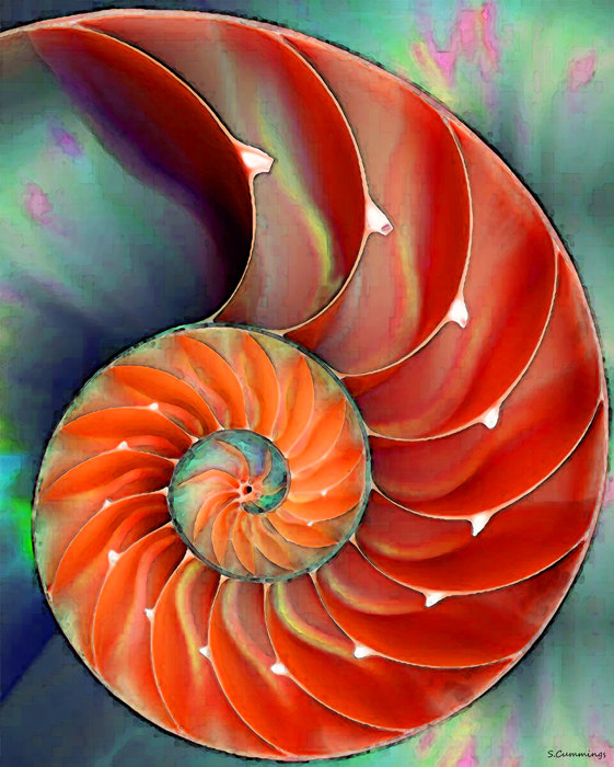561x700 Nautilus Shell Art Print From Painting Colorful Red Beach - Nautilus Shell Painting