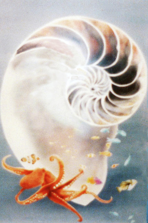 598x900 Nautilus Shell Painting By Patrick Korch - Nautilus Shell Painting