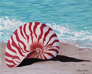 300x240 Nautilus Shell Paintings - Nautilus Shell Painting