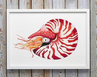 340x270 Nautilus Painting Etsy - Nautilus Shell Painting