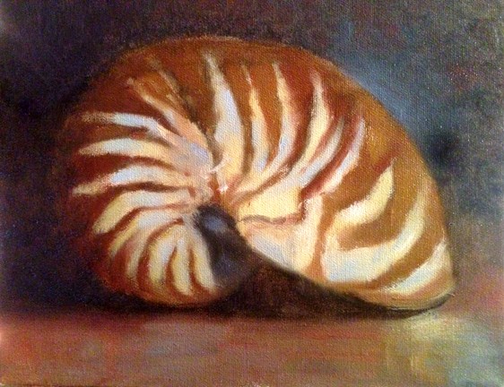 562x432 Oil Paint Nautilus Seashell Tutorial Learn To Oil Paint Dvd - Nautilus Shell Painting