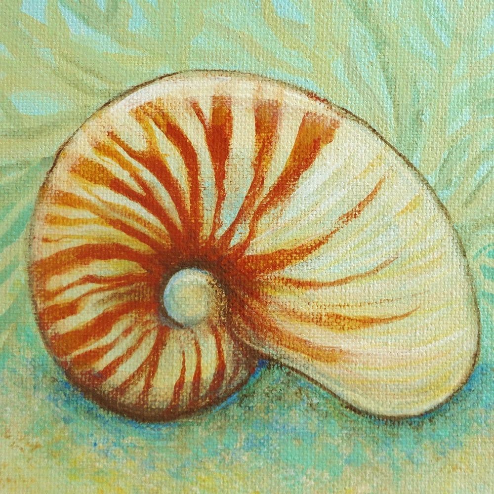 1000x1000 Original Painting On Mini Canvas Nautilus Seashell Signed Ideas - Nautilus Shell Painting