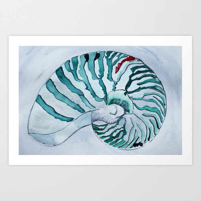 700x700 Turquoise Nautilus Shell Painting Watercolor Art Print By - Nautilus Shell Painting