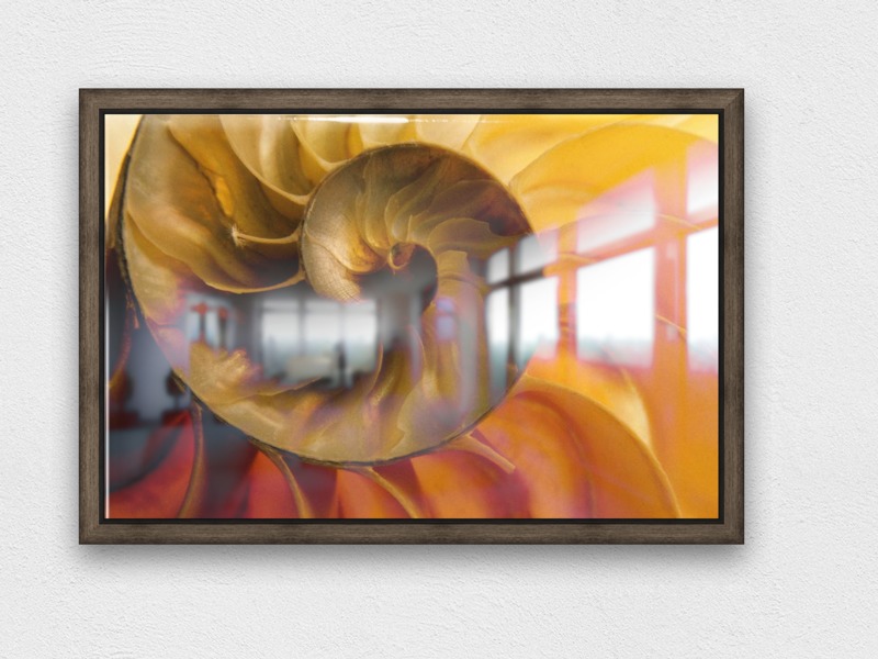 800x600 Inside Of Nautilus Shell - Nautilus Shell Painting