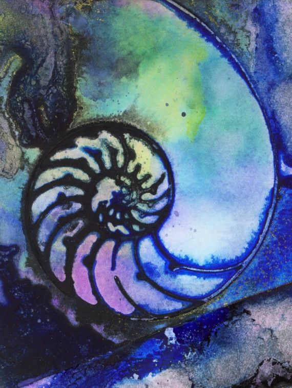 570x757 Nautilus Shell 44 Original Contemporary Modern Sea Art Painting - Nautilus Shell Painting