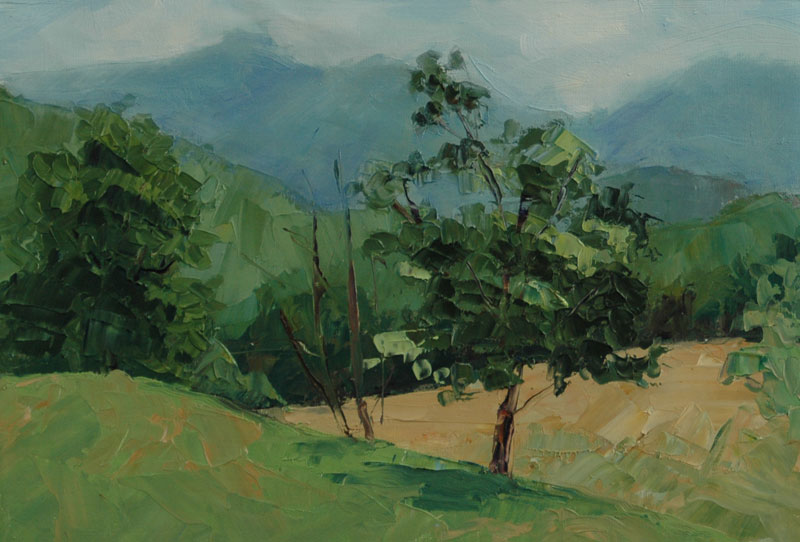 800x542 Plein Aire Painting Archives - Nc Painting