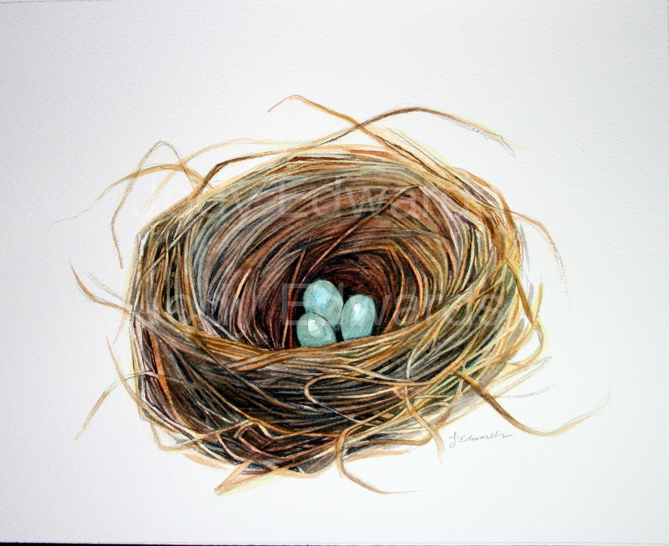 1378x1125 Watercolor Birds Nest Painting - Nest Painting